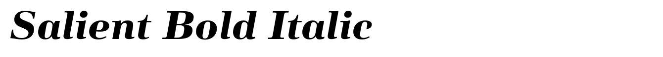 Salient Bold Italic image